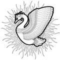 Hand drawn decorated swan. Image for adult coloring books, page Royalty Free Stock Photo