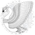 Hand drawn decorated swan. Image for adult coloring books, page Royalty Free Stock Photo