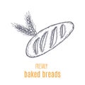 Hand drawn decorative bread bakery . Vector Illustration.