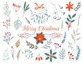 Hand drawn decorative christmas holly, misletoes, plant branches, twigs design element set. Winter Bouquets.