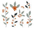 Hand drawn decorative christmas holly, plant branches, design element set. Winter Bouquets. Christmas floral collection