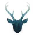 Hand drawn deer head with forest double exposure