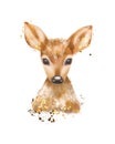 Hand drawn deer portrait illustration on white background