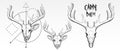 Hand Drawn, deer skull and face silhouette. Vintage deer head vector illustration, scratchboard, engraving, black ink