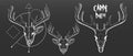 Hand Drawn, deer skull and face silhouette. Vintage deer head vector illustration, scratchboard, engraving, white ink Royalty Free Stock Photo