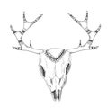 Hand-drawn deer skull with native ornament