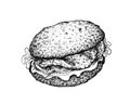 Hand Drawn of Delicious Grilled Grouper Sandwich Royalty Free Stock Photo