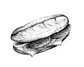 Hand Drawn of Delicious Philly Cheesesteak Sandwich