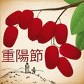 Hand Drawn Design and Dogwood for Double Yang Festival, Vector Illustration