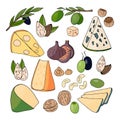Hand drawn different kinds of cheese, nuts, olives and figs Royalty Free Stock Photo