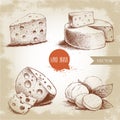 Hand drawn different type of cheese set.