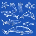 Hand drawn different types of sea animals