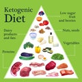 Hand drawn different vegetables, meat, fish, cheese and nuts for the ketogenic diet or low carb diet