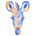 Hand drawn digital portrait of zebra  isolated on white background. Royalty Free Stock Photo