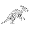 Hand drawn dinosaur parasaurolophus walkeri. Coloring book page antistress for adults and children. Prehistoric doodle cartoon