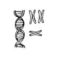 Hand drawn DNA doodle icon. Hand drawn black sketch. Sign symbol Royalty Free Stock Photo