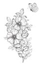 Hand Drawn Dog-Rose Branch with Flying Butterfly