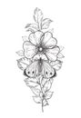 Hand Drawn Dog-rose Flower and Butterfly