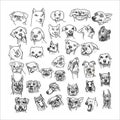 Hand drawn of dogs head set isolated on white background Royalty Free Stock Photo