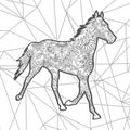 hand drawn horse doodle animal paisley adult stress release coloring page zentangle