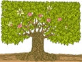 Hand drawn doodle big tree with fruits and flowers. Vector abstract big tree with green leaves isolated on white background illust Royalty Free Stock Photo