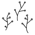 Hand drawn doodle botanical elements three branches.