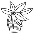 Hand drawn doodle botanical plant cactus clip art illustration