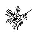 Hand drawn  doodle branch of fir tree isolated on white background. Conifer sketch. Vector illustration. Royalty Free Stock Photo