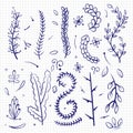 Hand drawn doodle branches and decorative elements Royalty Free Stock Photo