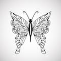 Hand drawn doodle butterfly