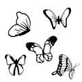 Hand drawn doodle butterfly set.Perfect for invitation