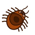 Hand drawn doodle cartoon character fantasy brown insect bug symbol isolated on white