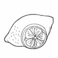 Hand-drawn doodle cartoon style vector illustration. Collection set of lemon lime orange citrus fruits For menu, farmers market Royalty Free Stock Photo