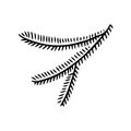 Hand drawn doodle of fir tree branch isolated on white background. Conifer sketch. Vector illustration. Royalty Free Stock Photo