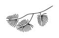 Hand drawn doodle of fir tree branch isolated on white background. Conifer sketch. Vector illustration Royalty Free Stock Photo