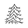 Hand drawn  doodle fir tree isolated on white background. Conifer sketch. Vector illustration. Royalty Free Stock Photo