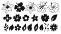 Hand Drawn Doodle Flowers Leaves and Silhouette Collection Botanical Outline and Solid Elements.Vector Set Royalty Free Stock Photo