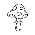 Hand drawn doodle of fly agaric. Amanita mushroom icon. Vector sketch illustration of poisonous toadstool, Halloween Royalty Free Stock Photo