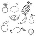 Hand drawn doodle fruits. Natural tropical fruit, doodles citrus orange and vitamin lemon. Vegan kitchen apple hand drawn, organic