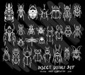 Hand drawn doodle Insect icon set on Chalkboard eps10