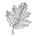 Hand drawn doodle leaf coloring book. Vector illustration for adults amd older children