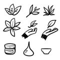 Hand drawn doodle Natural and organic cosmetics illustration icons set isolated Royalty Free Stock Photo