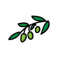 Hand drawn doodle olive branch. Green olives