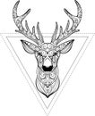 Hand drawn doodle ornate deer illustration