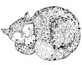 Hand drawn doodle outline cat sleeping Royalty Free Stock Photo