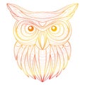 Hand drawn doodle outline owl illustration. Decorative in African indian totem Ethnic tribal aztec design. Royalty Free Stock Photo