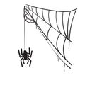 Hand drawn doodle spider web illustration vector isolated background Royalty Free Stock Photo