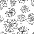 Hand drawn doodle style seamless pattern with common houseleek, Sempervivum tectorum succulents