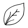 Hand drawn doodle of tree leave. Simple thick black line