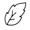 Hand drawn doodle of tree leave. Simple thick black line